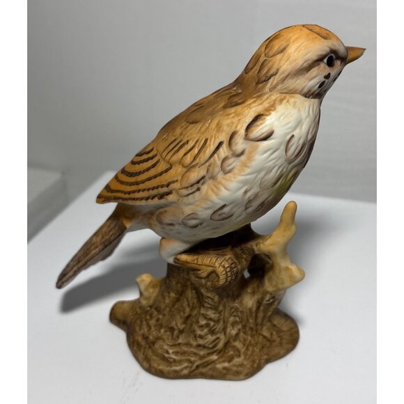 Mistle Thrush Bird Figurine by Maruri Lovely 5 inch READ - Picture 4 of 7